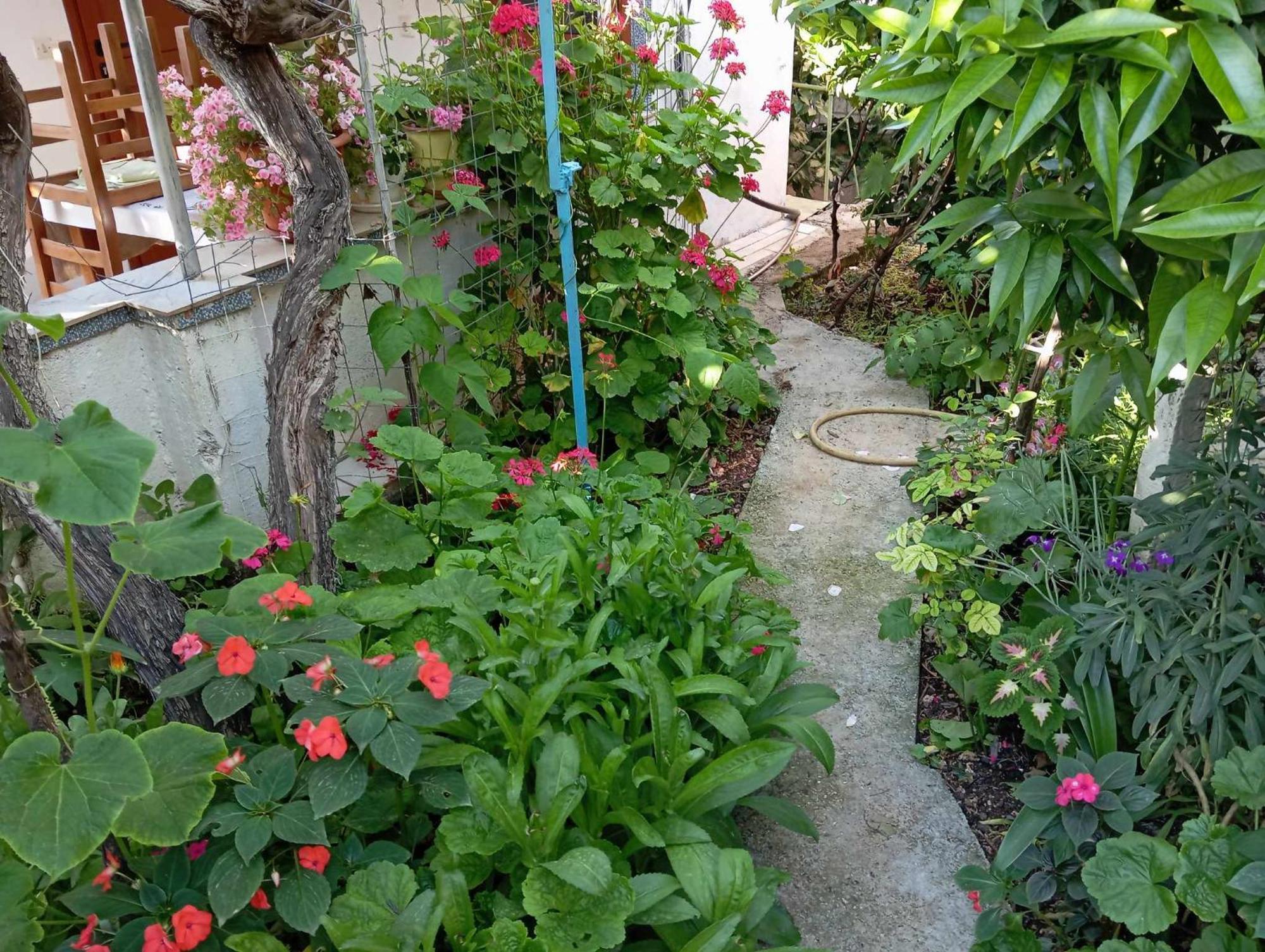 Relaxation Place Hotel Himare Ngoại thất bức ảnh