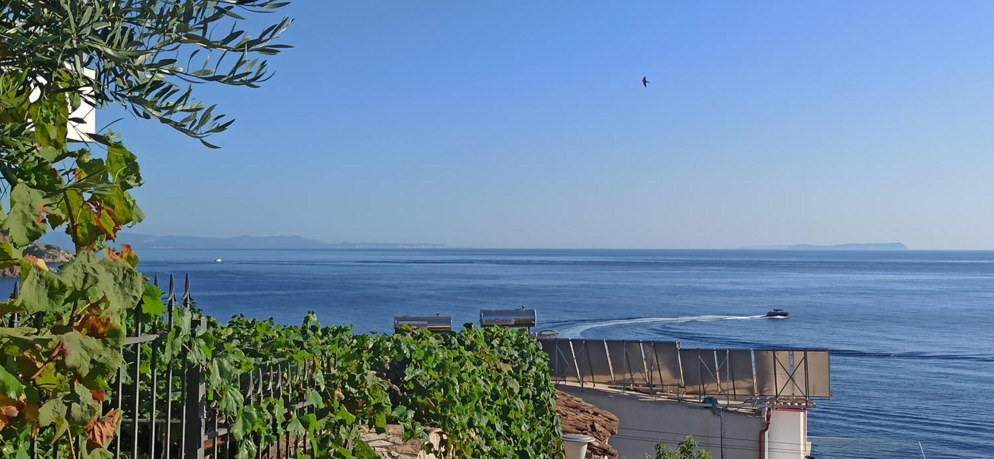 Relaxation Place Hotel Himare Ngoại thất bức ảnh