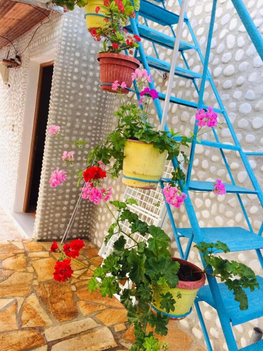 Relaxation Place Hotel Himare Ngoại thất bức ảnh